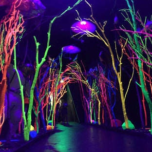  Meow Wolf Electric Forest, photo by frozenchipmunk 