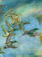 Original art for sale at UGallery.com | Skyward Harmony by Alana Clumeck | $2,400 | oil painting | 24' h x 48' w | thumbnail 4