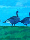 Original art for sale at UGallery.com | Five Geese by Brian McCarty | $875 | oil painting | 24' h x 30' w | thumbnail 4