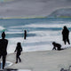 Original art for sale at UGallery.com | Beach Time in Santa Monica by Carey Parks | $575 | acrylic painting | 9' h x 12' w | thumbnail 4