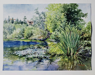 Waterlilies on Lake Temescal by Catherine McCargar |  Context View of Artwork 