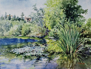 Waterlilies on Lake Temescal by Catherine McCargar |  Artwork Main Image 