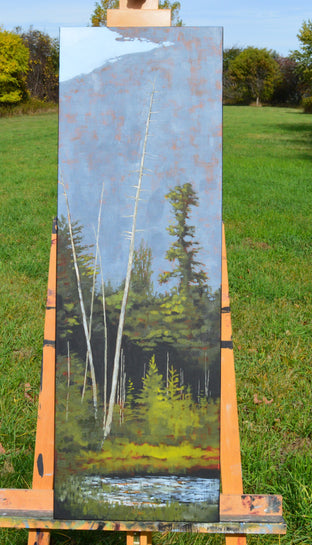 Adirondack by David Thelen |  Context View of Artwork 