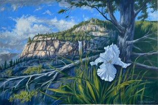 Western Iris by Jay Jensen |  Artwork Main Image 