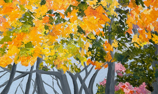 Beech Trees and Friend by JoAnn Golenia |  Artwork Main Image 