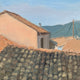 Original art for sale at UGallery.com | The Rooftops of Corfu by Karen d’Angeac Mihm | $450 | oil painting | 12' h x 12' w | thumbnail 4