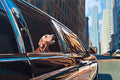 Original art for sale at UGallery.com | Top Dog by Keith Thomson | $3,375 | oil painting | 20' h x 30' w | thumbnail 1