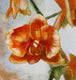 Original art for sale at UGallery.com | Orange Orchids by Kristina Ingvarsson | $400 | oil painting | 10' h x 10' w | thumbnail 4