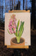 Original art for sale at UGallery.com | Hyacinth in Clay Pot by Mary Beatty-Brooks | $400 | acrylic painting | 10' h x 8' w | thumbnail 3