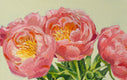 Original art for sale at UGallery.com | Pink Peonies by Mary Beatty-Brooks | $400 | acrylic painting | 8' h x 10' w | thumbnail 4