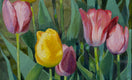 Original art for sale at UGallery.com | Tulips on the Horizon by Mary Beatty-Brooks | $725 | acrylic painting | 20' h x 10' w | thumbnail 4