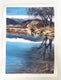 Original art for sale at UGallery.com | Purple Reflections by Patty Phan | $425 | watercolor painting | 12' h x 9' w | thumbnail 3