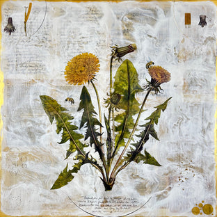 Dandelion by Shannon Amidon |  Artwork Main Image 