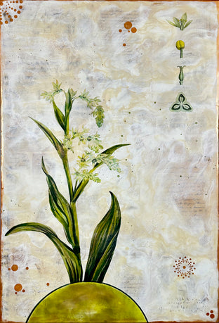 False Hellebore by Shannon Amidon |  Artwork Main Image 