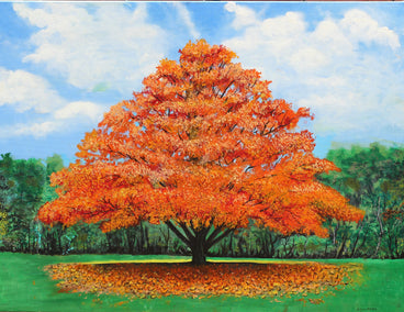 oil painting by Shela Goodman titled Autumn Tree