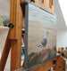 Original art for sale at UGallery.com | Seagull on a Rock by Steve Boggs | $500 | oil painting | 16' h x 20' w | thumbnail 2