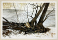 Original art for sale at UGallery.com | Along the River by Vic Roschkov | $800 | watercolor painting | 17.6' h x 27' w | thumbnail 3