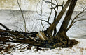 Original art for sale at UGallery.com | Along the River by Vic Roschkov | $800 | watercolor painting | 17.6' h x 27' w | thumbnail 1