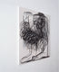 Original art for sale at UGallery.com | Little Animal by Yana Medow | $3,100 | charcoal drawing | 39.3' h x 31.8' w | thumbnail 2