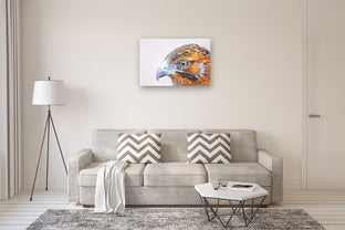 Galapagos Hawk by Emil Morhardt |  In Room View of Artwork 