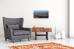 San Luis Valley by Heather Foster |  In Room View of Artwork 