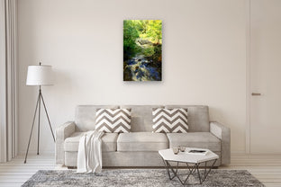 River Ravine by Onelio Marrero |  In Room View of Artwork 