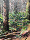 Original art for sale at UGallery.com | Porter Creek Falls, 3 by Henry Caserotti | $1,350 | acrylic painting | 23.75' h x 23.75' w | thumbnail 4