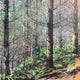 Original art for sale at UGallery.com | Porter Creek Falls, 3 by Henry Caserotti | $1,350 | acrylic painting | 23.75' h x 23.75' w | thumbnail 1