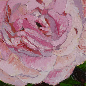 oil painting by Judy Mackey titled Pink Rose