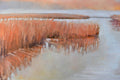 Original art for sale at UGallery.com | At Peace by Mary Pratt | $2,400 | oil painting | 30' h x 40' w | thumbnail 3