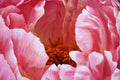 Original art for sale at UGallery.com | One Blossom One World. Peony & Deer I by Guigen Zha | $2,500 | oil painting | 36' h x 36' w | thumbnail 4