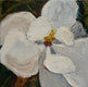 Original art for sale at UGallery.com | Magnolia by Judy Mackey | $325 | oil painting | 8' h x 8' w | thumbnail 1