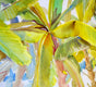 Original art for sale at UGallery.com | Banana Trees by Suren Nersisyan | $650 | watercolor painting | 22' h x 30' w | thumbnail 4