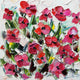 Original art for sale at UGallery.com | Spring to Me by Lisa Elley | $300 | oil painting | 10' h x 10' w | thumbnail 1