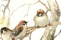 Original art for sale at UGallery.com | Sun and Sparrows by Suren Nersisyan | $325 | watercolor painting | 12' h x 15.5' w | thumbnail 2