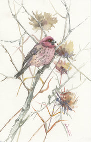 watercolor painting by Suren Nersisyan titled House Finch in the Field (Vertical)