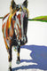 Original art for sale at UGallery.com | Apple? by Chris Wagner | $1,325 | acrylic painting | 36' h x 24' w | thumbnail 1