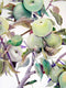 Original art for sale at UGallery.com | Green Apples by Suren Nersisyan | $450 | watercolor painting | 24' h x 18' w | thumbnail 2