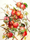 Original art for sale at UGallery.com | Apple Tree by Suren Nersisyan | $410 | watercolor painting | 20' h x 15' w | thumbnail 1