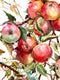 Original art for sale at UGallery.com | Apple Tree by Suren Nersisyan | $410 | watercolor painting | 20' h x 15' w | thumbnail 3