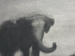 Original art for sale at UGallery.com | The Elephant by Drew McSherry | $400 | charcoal drawing | 19' h x 25' w | thumbnail 4