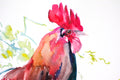 Original art for sale at UGallery.com | Rooster by Suren Nersisyan | $500 | watercolor painting | 16' h x 22' w | thumbnail 3