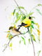 Original art for sale at UGallery.com | American Goldfinches by Suren Nersisyan | $325 | watercolor painting | 16' h x 12' w | thumbnail 1