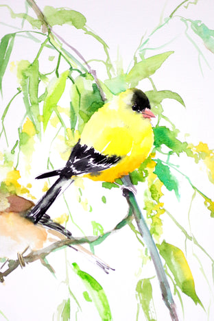 American Goldfinches by Suren Nersisyan |   Closeup View of Artwork 