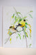 Original art for sale at UGallery.com | American Goldfinches by Suren Nersisyan | $325 | watercolor painting | 16' h x 12' w | thumbnail 2