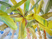 Original art for sale at UGallery.com | Banana Trees by Suren Nersisyan | $650 | watercolor painting | 22' h x 30' w | thumbnail 1