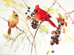 Original art for sale at UGallery.com | Cardinal Birds and Berries (Horizontal Composition) by Suren Nersisyan | $350 | watercolor painting | 12' h x 16' w | thumbnail 1