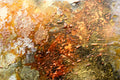 Original art for sale at UGallery.com | Wildfire III by DL Watson | $400 | acrylic painting | 12' h x 12' w | thumbnail 2