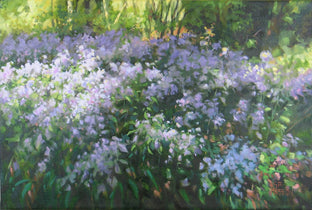 Aster Interlude by Suzanne Massion |  Artwork Main Image 