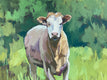 Original art for sale at UGallery.com | One Cow by Brian McCarty | $800 | oil painting | 24' h x 36' w | thumbnail 4